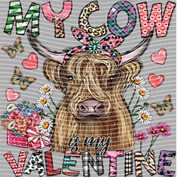 Cow-NIU 2585